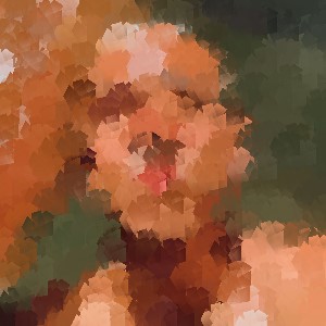 Novinho Dotado garoto de programa, garoto do job, acompanhante masculino Belo Horizonte MG_01