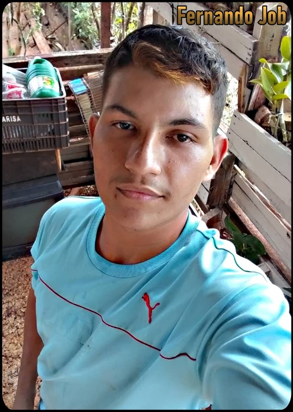Fernando Job garoto de programa, garoto do job, acompanhante masculino São José do Rio Preto SP - 01